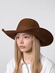 Шляпа BAILEY арт. W2605 SPUR BAIT (коричневый)